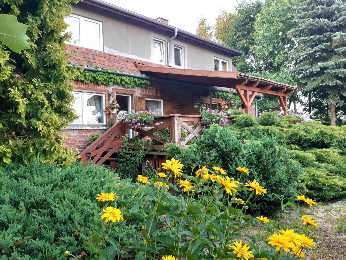 Dziki Brzeg Jezioraka Villa Zalewo  Eksteriør bilde